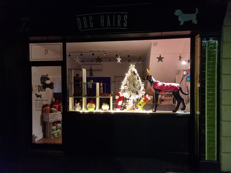 The Dog Hairs shopfront at night, signboard above and a lit Christmas window display